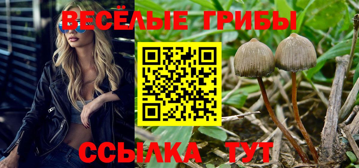Галлюциногенные грибы прущие грибы Избербаш