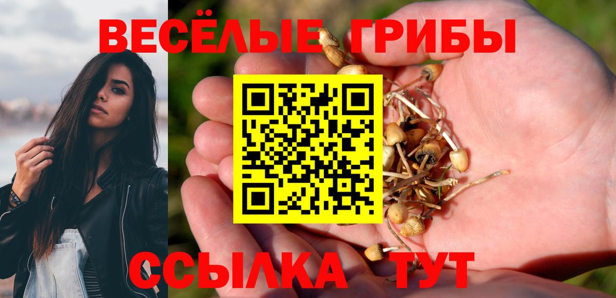 Псилоцибиновые грибы мицелий  Вход с VPN  Избербаш 