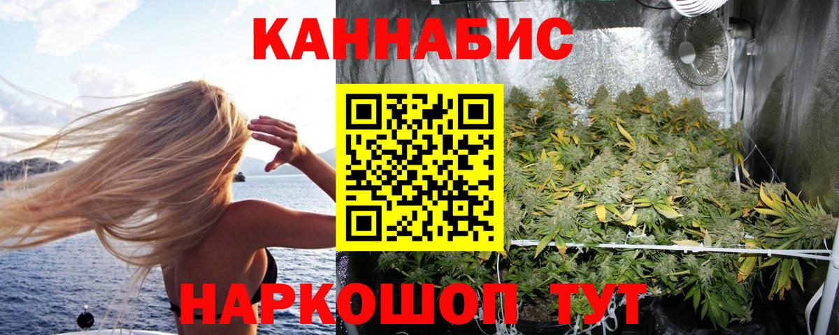 Бошки Шишки гибрид  Канабис сатива  Избербаш  Вход с VPN 
